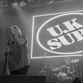 UK Subs